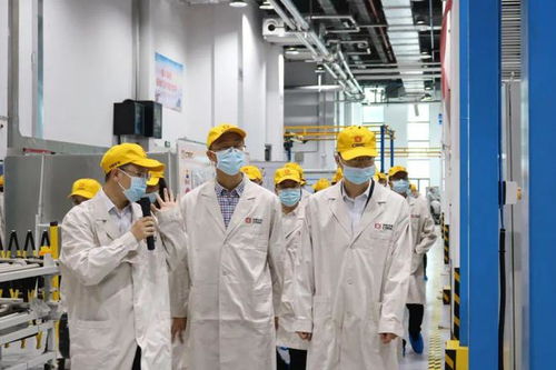 打响县域品牌 以“三个高地”战略构建最美茶陵品牌阵营的数字化路径