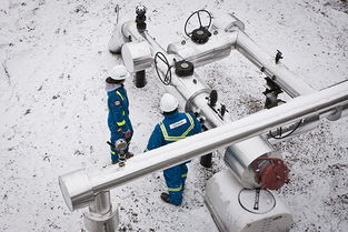 构建专业品牌形象 Allnorth工程技术服务咨询公司的全方位视觉与数字体验设计